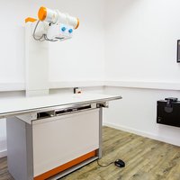 thumb: Amadeo V Systeme