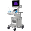 Ultraschall GE Voluson E8