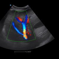 thumb: Farbmodus des Apogee 5300V Neo